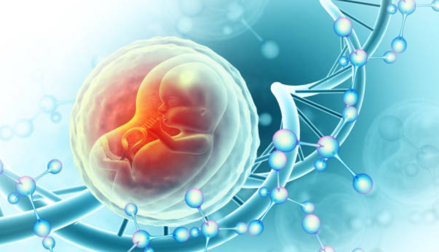 Prenatal Genetic Testing in Maternal & Child Health