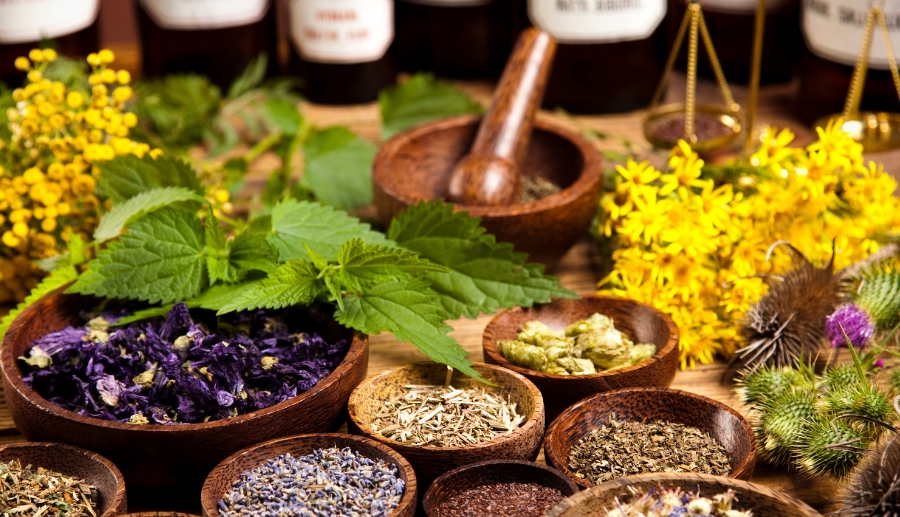 Ayurveda and Genetics: Personalizing Healthcare in Modern India