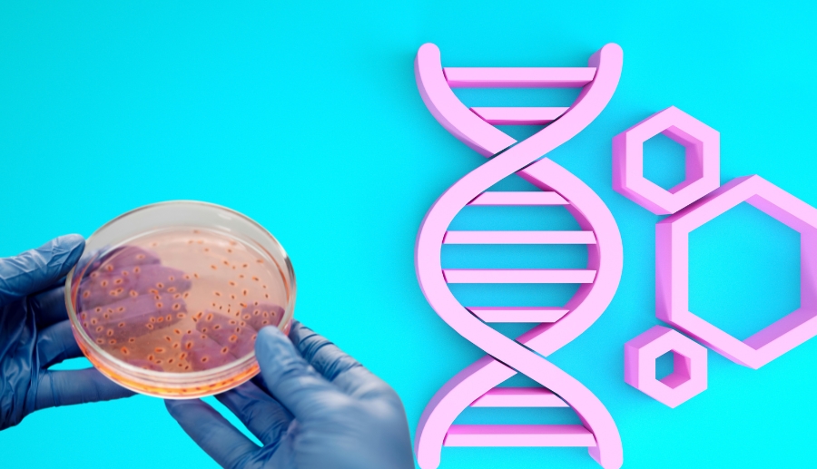 Accurate in Genetic Testing