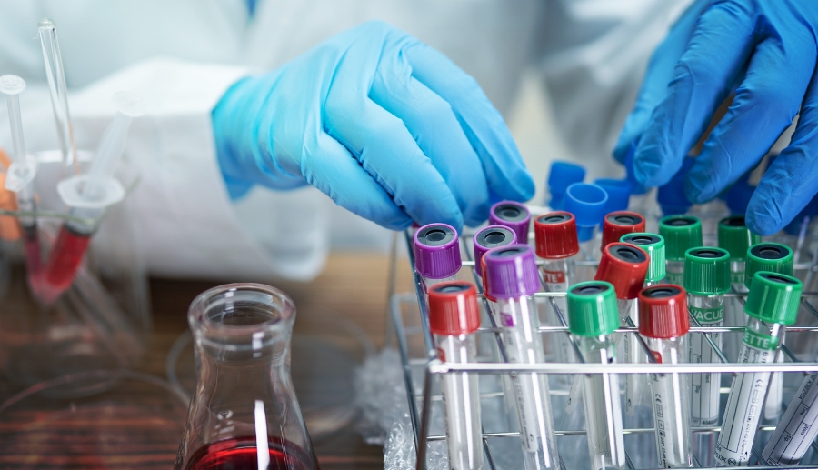 Understand the process of genetic testing