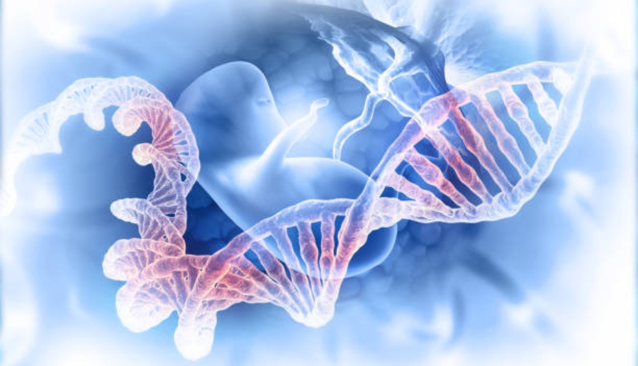 prenatal genetic testing