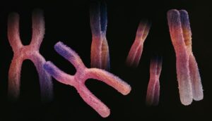 Genetic Testing in India ( DNA )