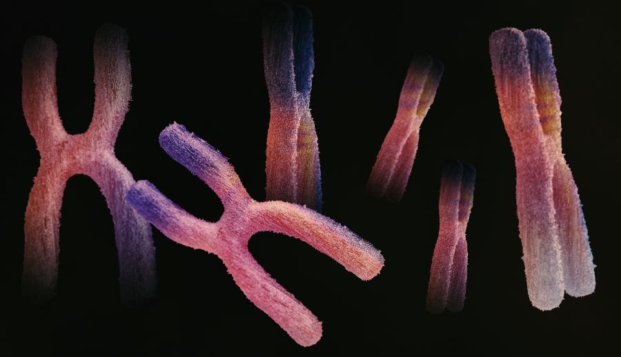 Genetic Testing in India ( DNA )