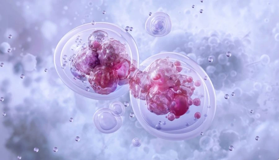 How Genetic Testing Promotes Awareness of Reproductive Health Risks