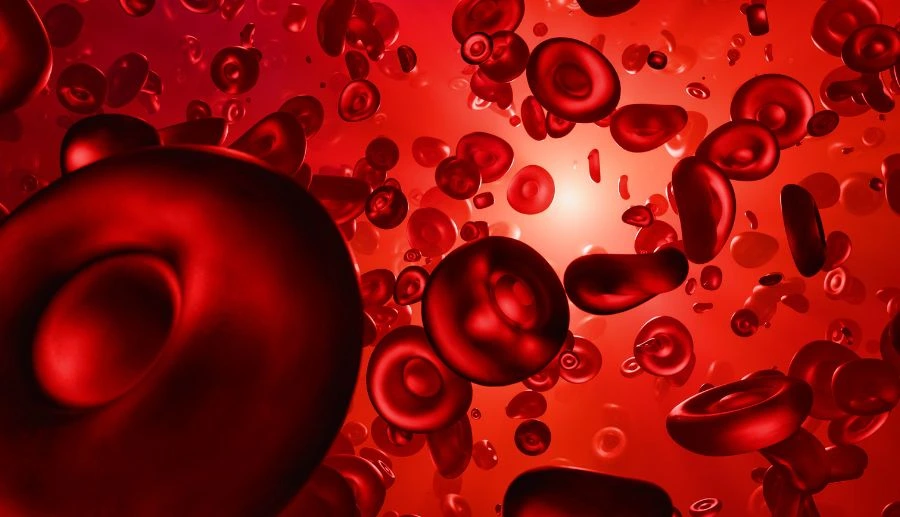 Genetic Testing & Early Detection of Blood Cancer