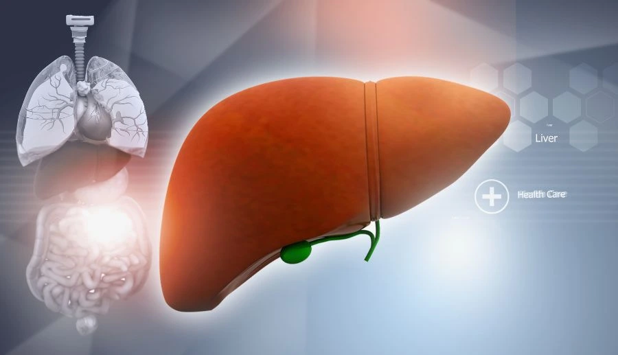 Genetic Testing for Liver Diseases