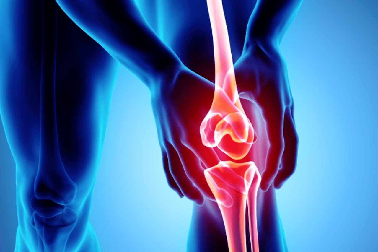 Joint - human health