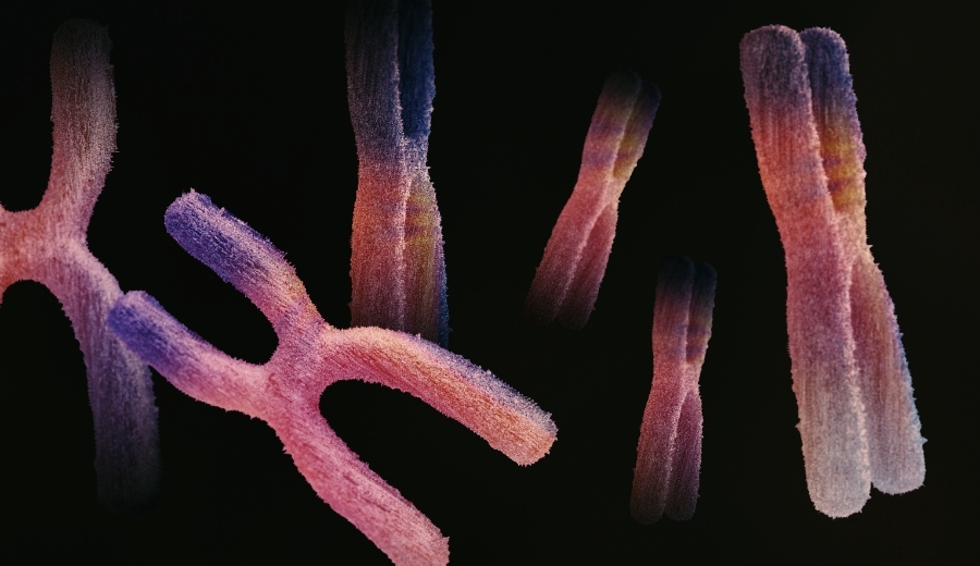 Genetic Testing in Rural Indian Healthcare