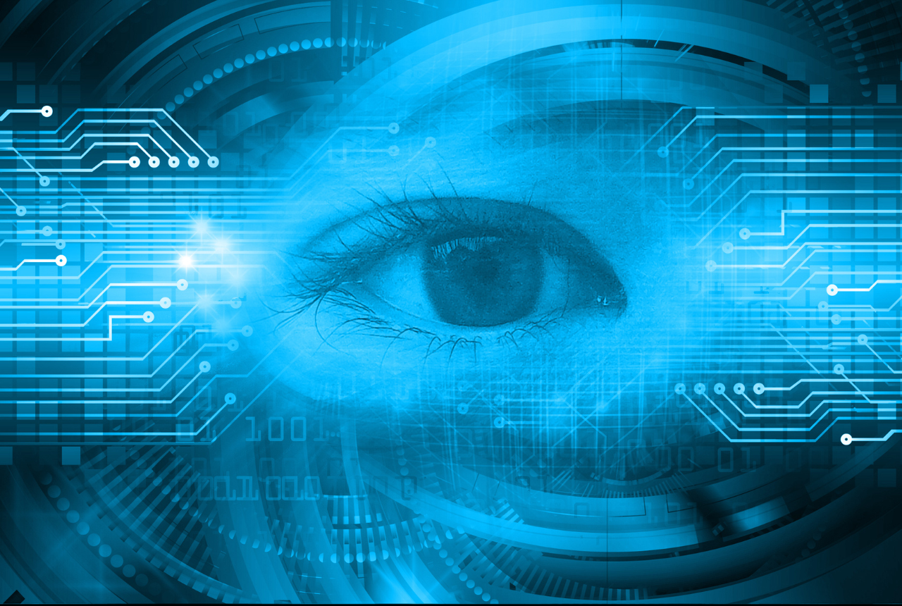 Human Eye/Vision & Genetic Connection