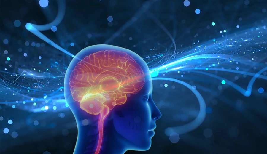 Brain Cancer Symptoms in Young Adults You Shouldn’t Ignore