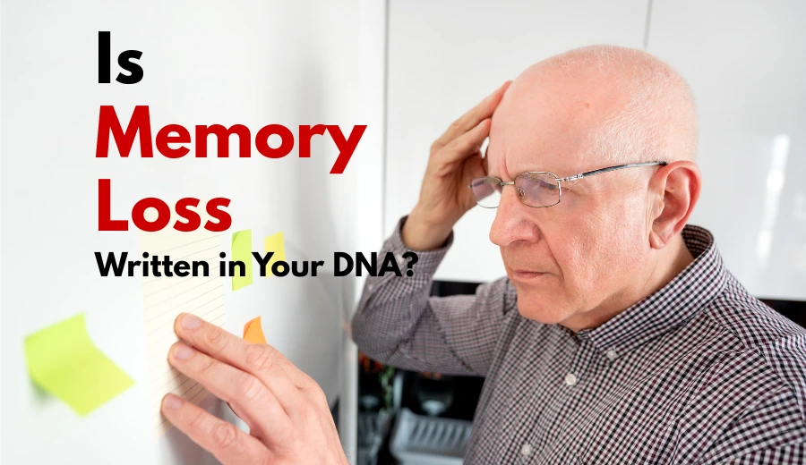 Is Memory Loss Written in Your DNA