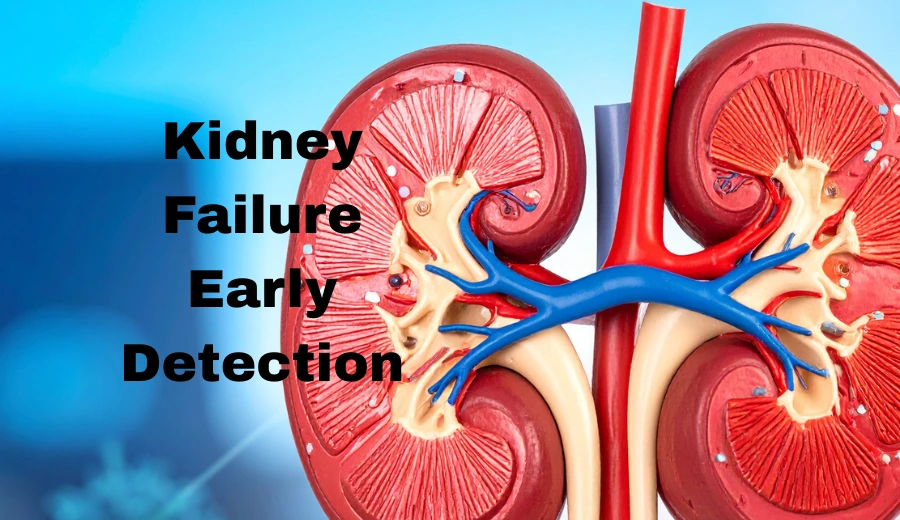 Kidney Failure Risk: Why Regular Testing After 40 Is Critical