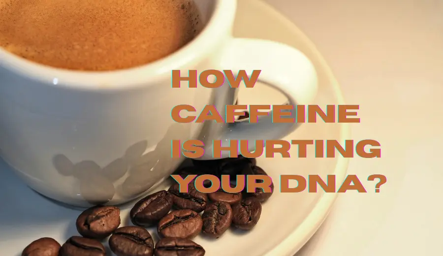 How Caffeine Is Hurting Your DNA