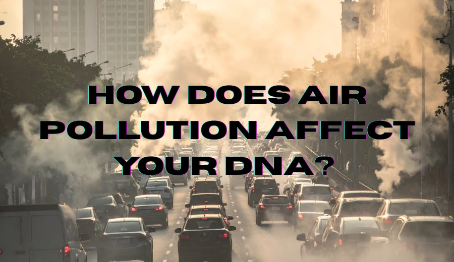 How Air Pollution Affects Your DNA